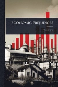 bokomslag Economic Prejudices