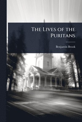 bokomslag The Lives of the Puritans