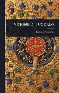 bokomslag Visione Di Tugdalo