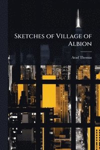 bokomslag Sketches of Village of Albion