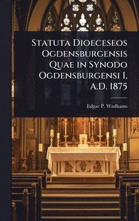 bokomslag Statuta Dioeceseos Ogdensburgensis Quae in Synodo Ogdensburgensi I, A.D. 1875