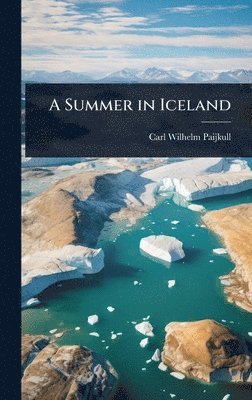 bokomslag Summer in Iceland