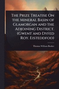 bokomslag Prize Treatise On the Mineral Basin of Glamorgan and the Adjoining District. (Gwent and Dyfed Roy. Eisteddfod)