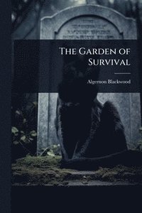 bokomslag Garden of Survival