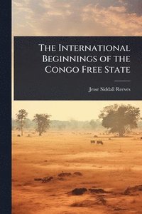 bokomslag The International Beginnings of the Congo Free State