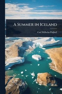 bokomslag Summer in Iceland