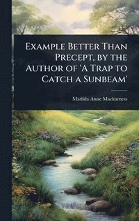 bokomslag Example Better Than Precept, by the Author of 'A Trap to Catch a Sunbeam'