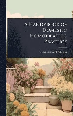 bokomslag A Handybook of Domestic HomÅ'opathic Practice