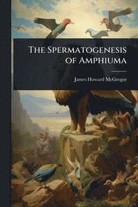 bokomslag The Spermatogenesis of Amphiuma