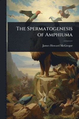 bokomslag The Spermatogenesis of Amphiuma
