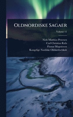 bokomslag Oldnordiske Sagaer