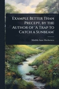 bokomslag Example Better Than Precept, by the Author of 'A Trap to Catch a Sunbeam'
