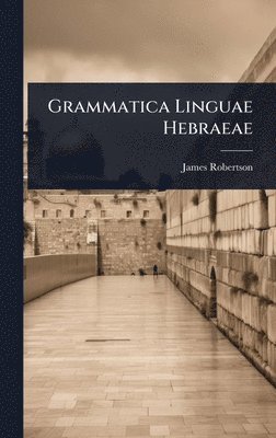 bokomslag Grammatica Linguae Hebraeae