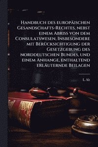 bokomslag Handbuch des europäischen Gesandschafts-Rechtes, nebst einem Abriss von dem Consulatswesen, Insbesondere mit BerÃ1/4cksichtigung der Gesetzgebung des norddeutschen Bundes, und einem Anhange, enthal...