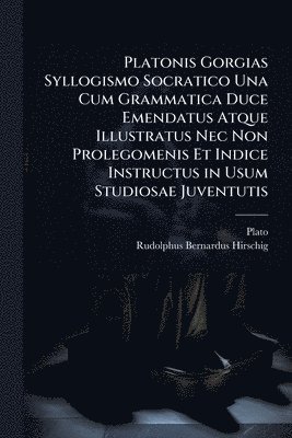 bokomslag Platonis Gorgias Syllogismo Socratico Una Cum Grammatica Duce Emendatus Atque Illustratus Nec Non Prolegomenis Et Indice Instructus in Usum Studiosae Juventutis
