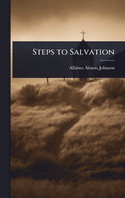 bokomslag Steps to Salvation