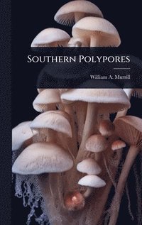 bokomslag Southern Polypores