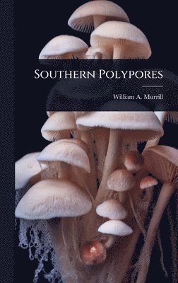 bokomslag Southern Polypores