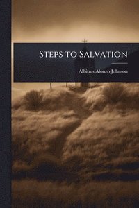 bokomslag Steps to Salvation