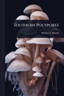 bokomslag Southern Polypores