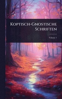 bokomslag Koptisch-Gnostische Schriften