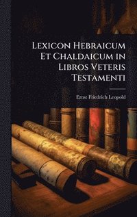 bokomslag Lexicon Hebraicum Et Chaldaicum in Libros Veteris Testamenti