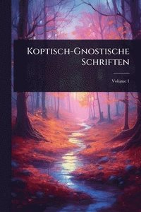bokomslag Koptisch-Gnostische Schriften
