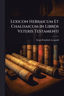 bokomslag Lexicon Hebraicum Et Chaldaicum in Libros Veteris Testamenti