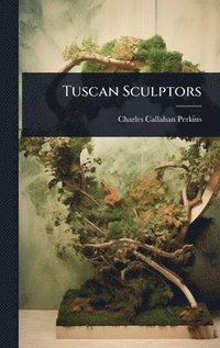 bokomslag Tuscan Sculptors