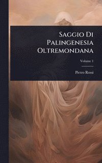 bokomslag Saggio Di Palingenesia Oltremondana