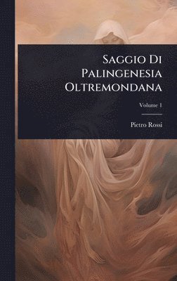 bokomslag Saggio Di Palingenesia Oltremondana