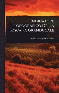 bokomslag Indicatore Topografico Della Toscana Granducale