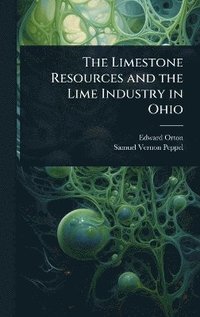 bokomslag Limestone Resources and the Lime Industry in Ohio