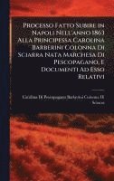 bokomslag Processo Fatto Subire in Napoli Nell'anno 1863 Alla Principessa Carolina Barberini Colonna Di Sciarra Nata Marchesa Di Pescopagano, E Documenti Ad Ess