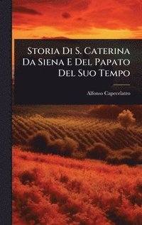 bokomslag Storia Di S. Caterina Da Siena E Del Papato Del Suo Tempo