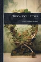 bokomslag Tuscan Sculptors