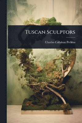 bokomslag Tuscan Sculptors