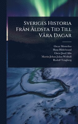 bokomslag Sveriges Historia FrÃ n Ã?ldsta Tid Till VÃ ra Dagar