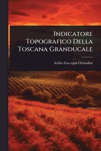bokomslag Indicatore Topografico Della Toscana Granducale