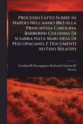 bokomslag Processo Fatto Subire in Napoli Nell'anno 1863 Alla Principessa Carolina Barberini Colonna Di Sciarra Nata Marchesa Di Pescopagano, E Documenti Ad Esso Relativi
