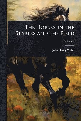 Horses, in the Stables and the Field