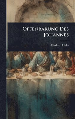 bokomslag Offenbarung Des Johannes