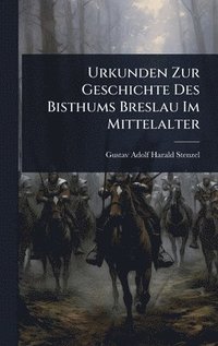 bokomslag Urkunden Zur Geschichte Des Bisthums Breslau Im Mittelalter