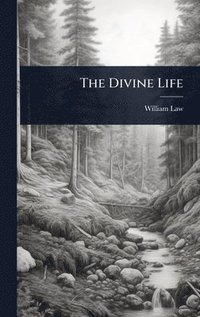 bokomslag Divine Life