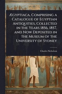 bokomslag Ã?gyptiaca, Comprising a Catalogue of Egyptian Antiquities, Collected in the Years 1856, 1857, and Now Deposited in the Museum of the University