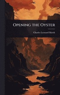bokomslag Opening the Oyster