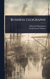 bokomslag Business Geography
