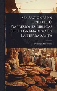 bokomslag Sensaciones En Oriente, Ã" Ympresiones BÃ-blicas De Un Granadino En La Tierra Santa