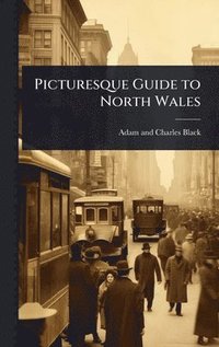 bokomslag Picturesque Guide to North Wales