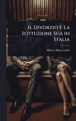 bokomslag Divorzio E La Istituzione Sua in Italia